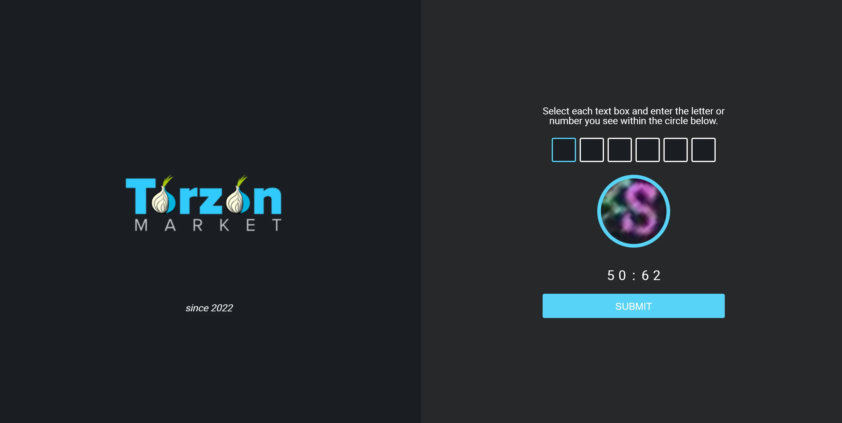 TorZon login captcha and entry screen where the personal anti-phishing phrase is displayed