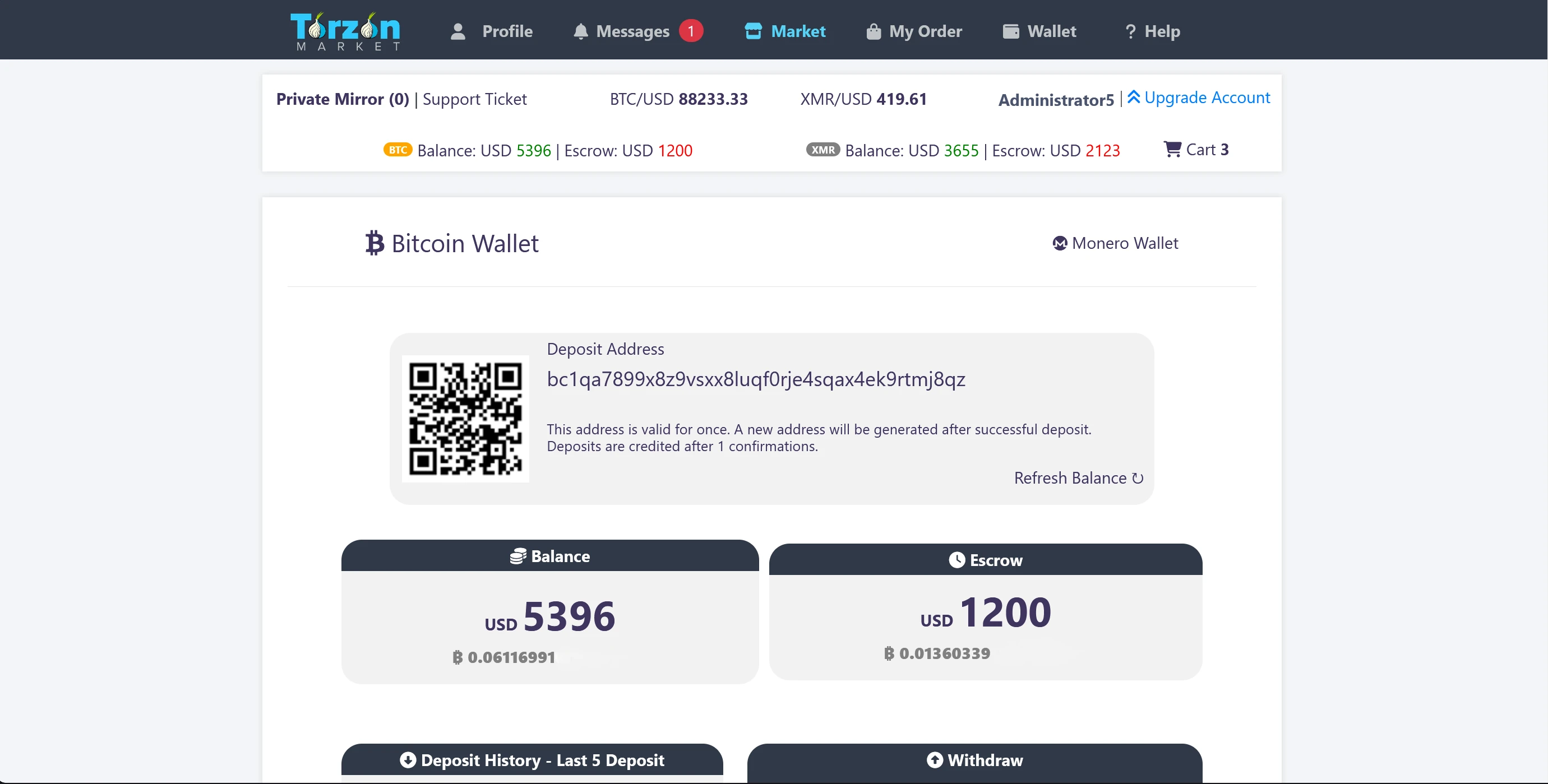 TorZon account wallet showing the escrow balance held on the market until an order is confirmed